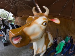 Jahresausflug Eigeltingen