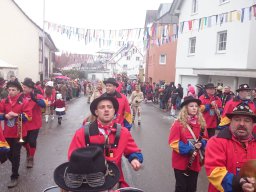 Narrentreffen Dingelsdorf