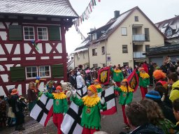 Narrentreffen Dingelsdorf