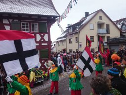 Narrentreffen Dingelsdorf