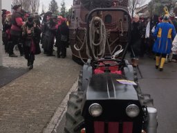 Narrentreffen Dingelsdorf
