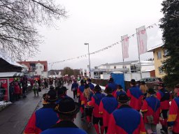 Narrentreffen Allensbach