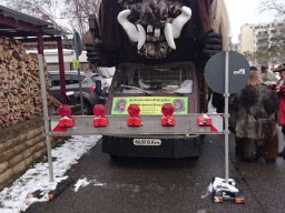 Narrentreffen Allensbach