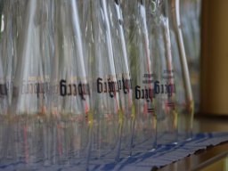 Frühlingsfest