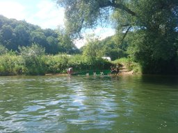 Jahresausflug Donautal