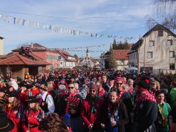 Narrentreffen Eigeltingen